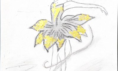 The power of Shadow_Pagina_08